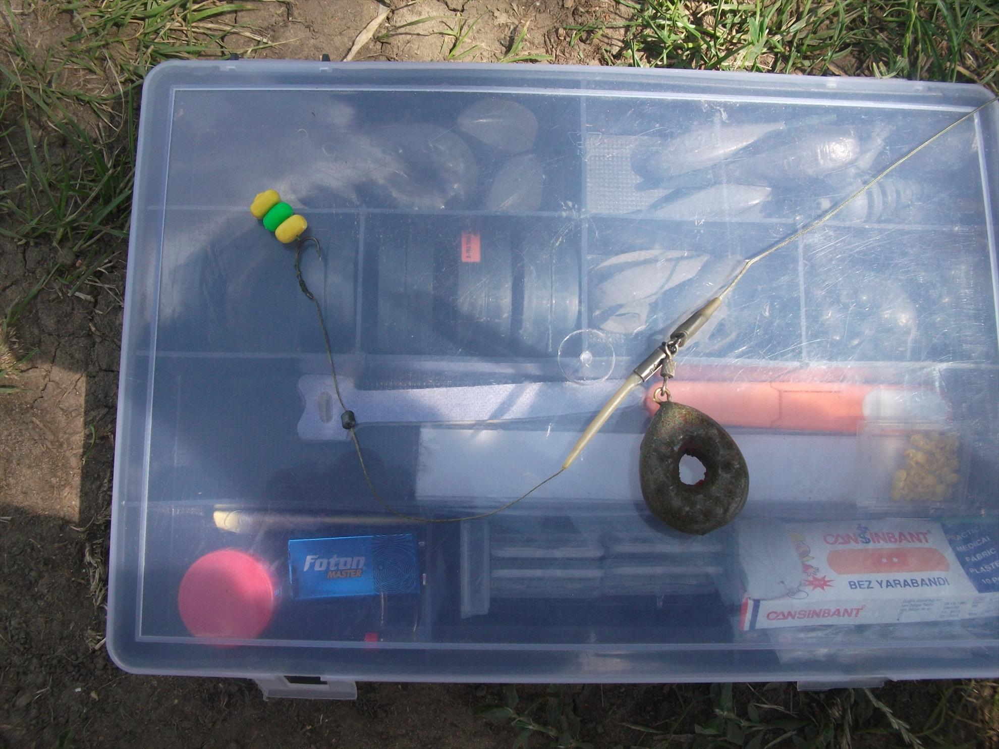 Walter - dscf0533.jpg